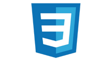 CSS Logo